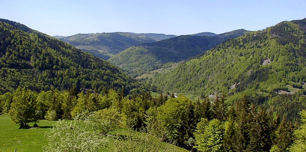 Hotel am Kurpark - Umweltschutz